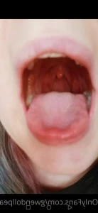14109536