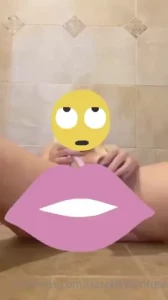 18273555