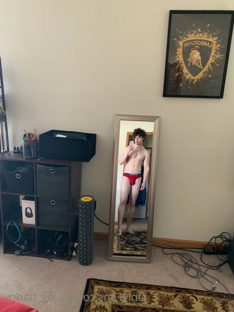 Harlow Guy [ hung_harlow ] Onlyfans leaked photo 5678553 on Hotleaks.tv