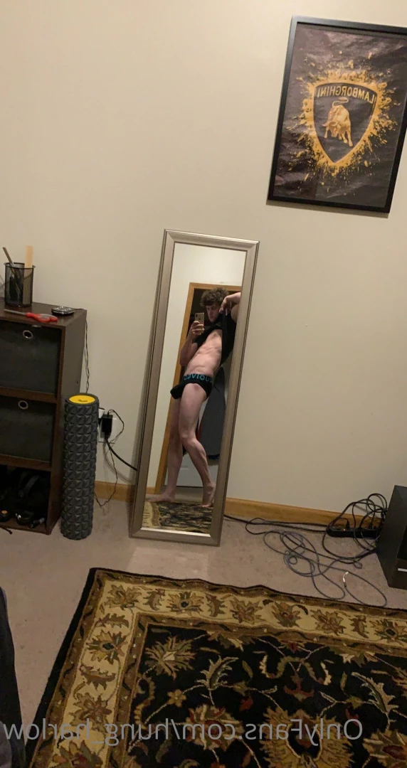 Harlow Guy [ hung_harlow ] Onlyfans leaked photo 5678635 on Hotleaks.tv