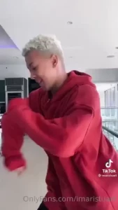 18273178