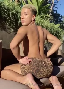 18273186