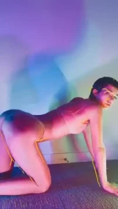 18273173