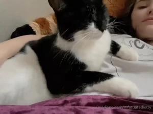Kali $3 sale! 💜 [ infatuatedkitty ] Onlyfans leaked video 5112640 on Hotleaks.tv