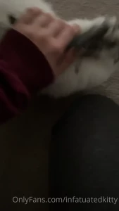 Kali $3 sale! 💜 [ infatuatedkitty ] Onlyfans leaked video 10576222 on Hotleaks.tv