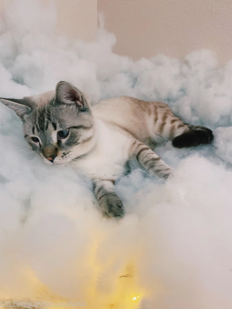 itsjanebee Onlyfans leaked photo 5560703 on Hotleaks.tv