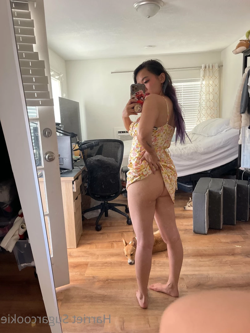 Harriet Sugarcookie [ harrietsugarcookie ] Onlyfans leaked photo 6281605 on Hotleaks.tv