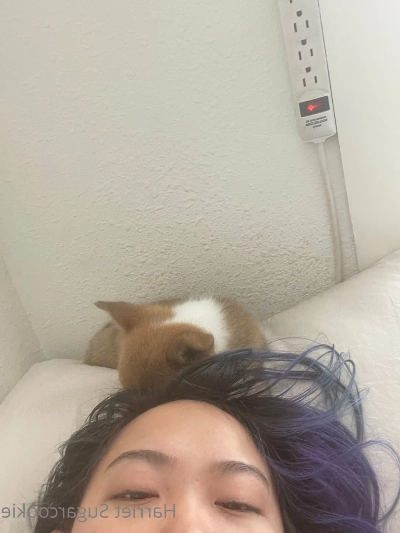Harriet Sugarcookie [ harrietsugarcookie ] Onlyfans leaked photo 6282746 on Hotleaks.tv