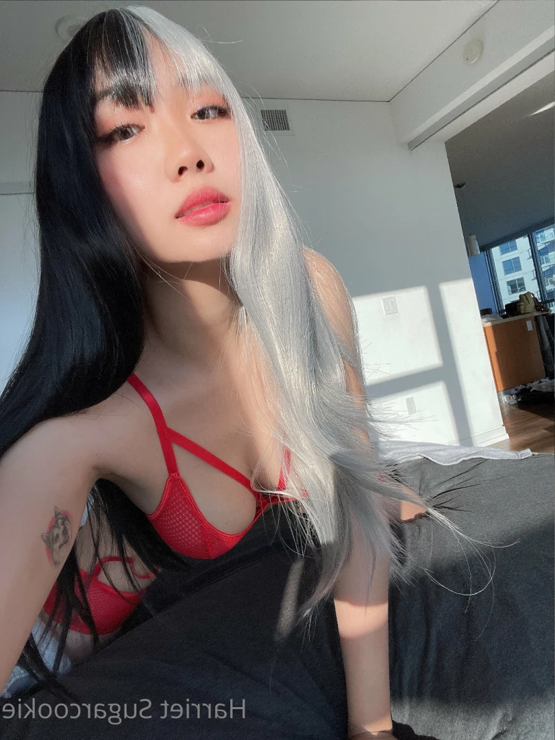 Harriet Sugarcookie [ harrietsugarcookie ] Onlyfans leaked photo 6285502 on Hotleaks.tv