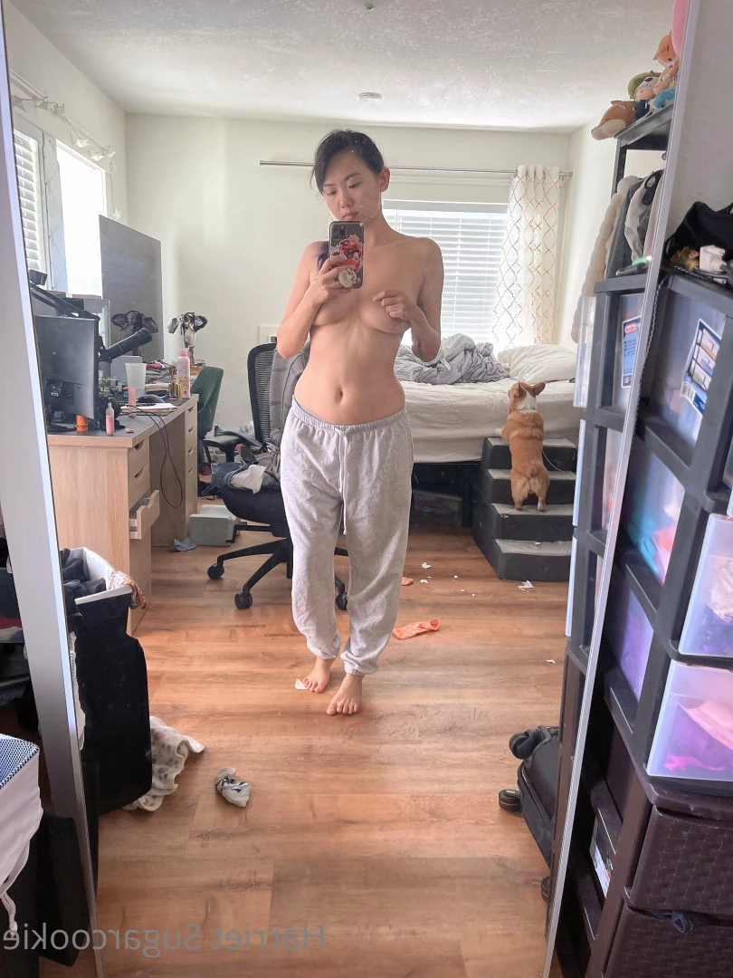 Harriet Sugarcookie [ harrietsugarcookie ] Onlyfans leaked photo 6286791 on Hotleaks.tv