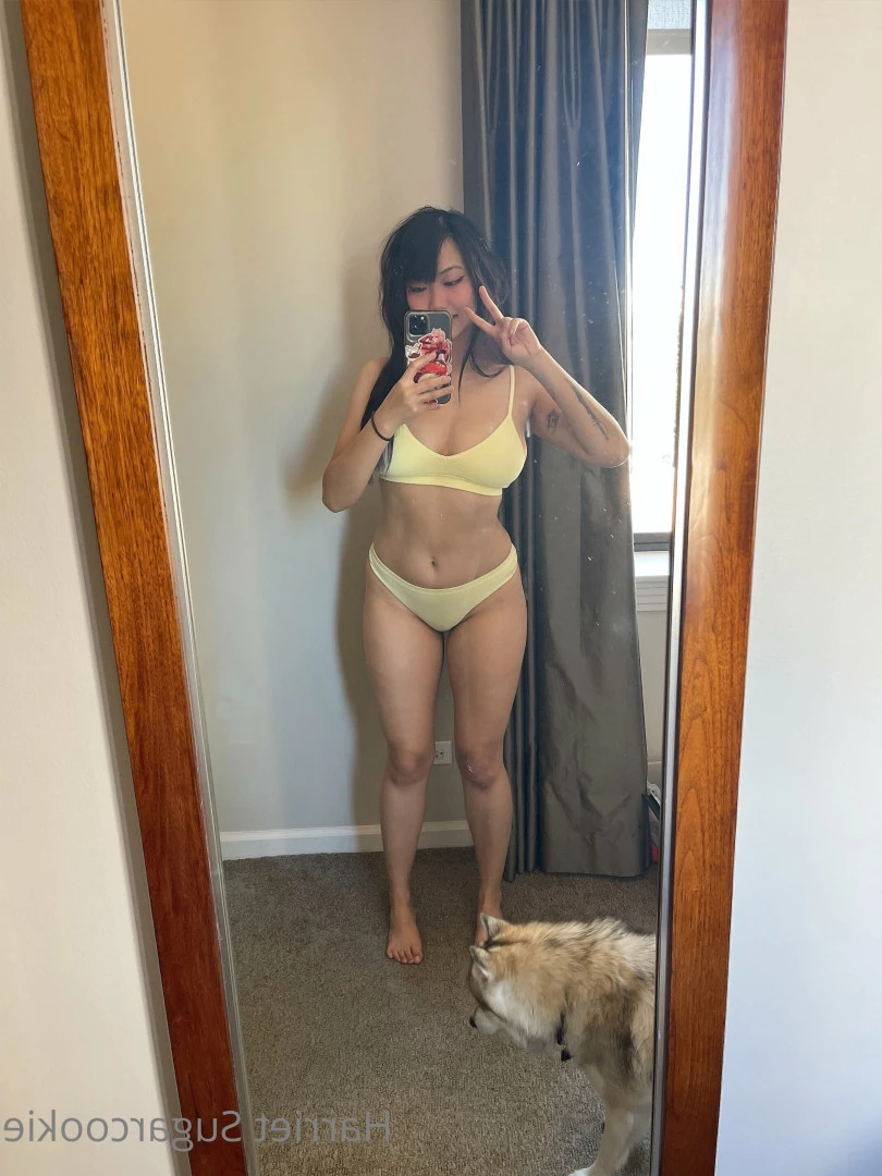 Harriet Sugarcookie [ harrietsugarcookie ] Onlyfans leaked photo 6286884 on Hotleaks.tv