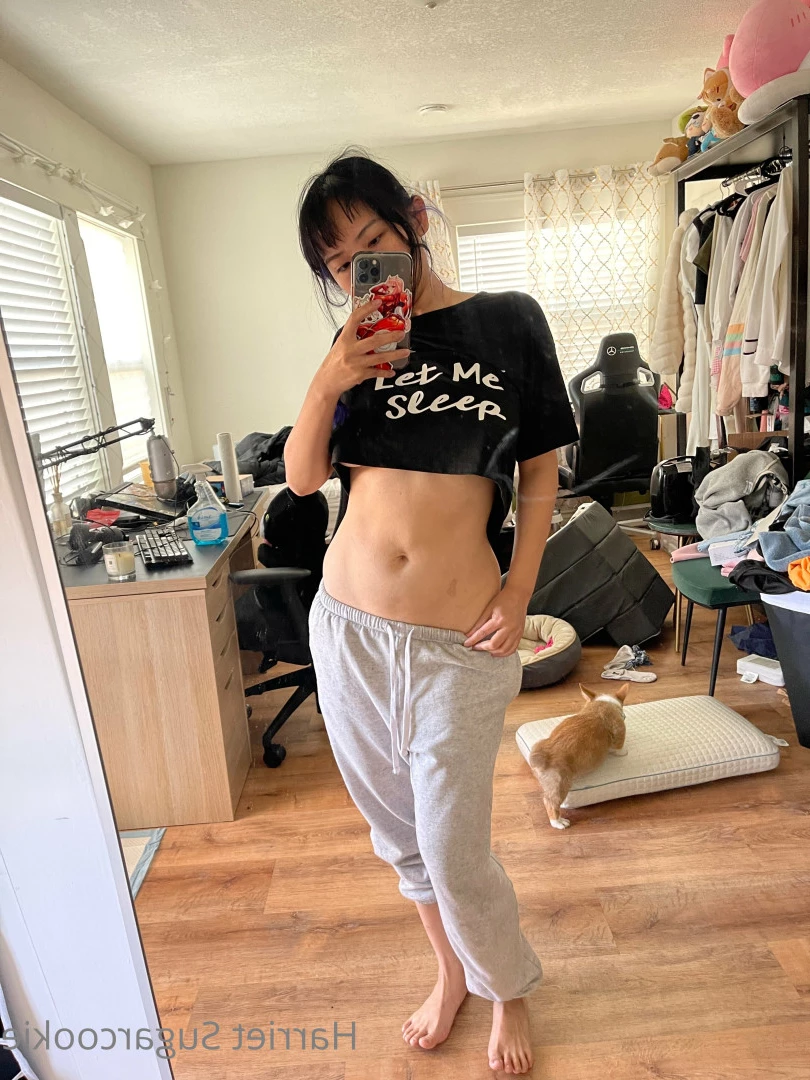 Harriet Sugarcookie [ harrietsugarcookie ] Onlyfans leaked photo 6286971 on Hotleaks.tv