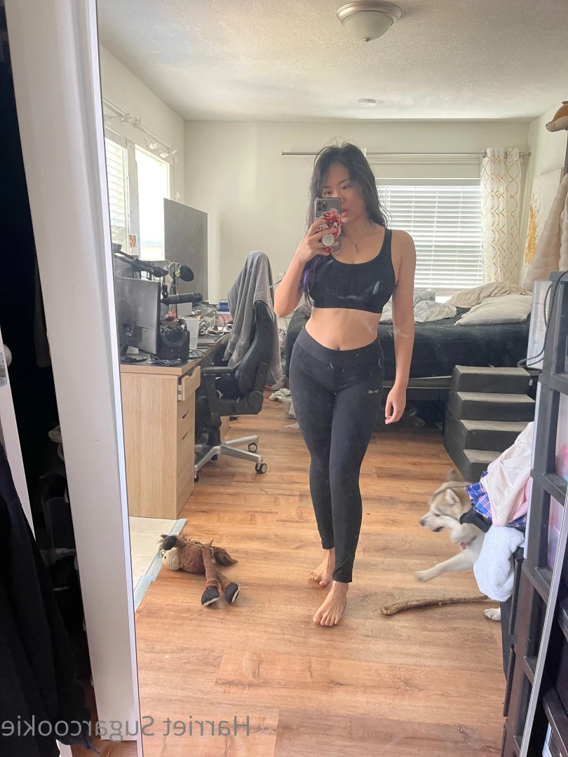 Harriet Sugarcookie [ harrietsugarcookie ] Onlyfans leaked photo 6288747 on Hotleaks.tv