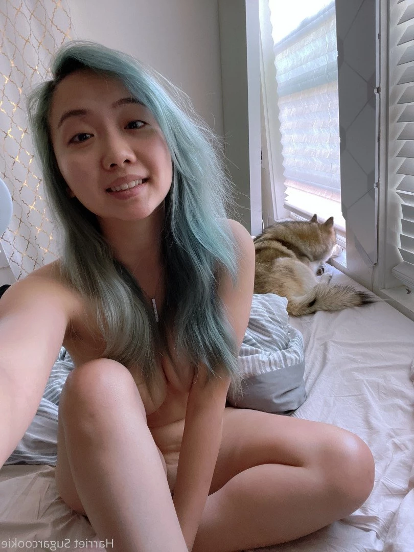 Harriet Sugarcookie [ harrietsugarcookie ] Onlyfans leaked photo 472278 on Hotleaks.tv
