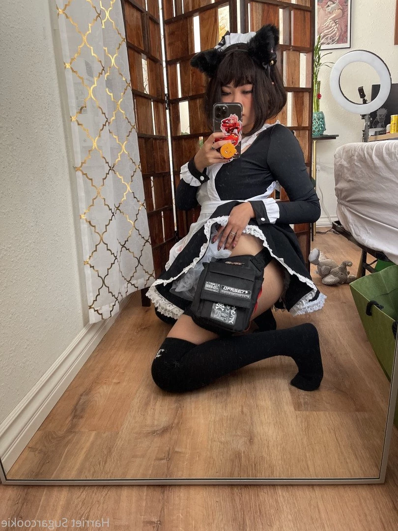 Harriet Sugarcookie [ harrietsugarcookie ] Onlyfans leaked photo 472366 on Hotleaks.tv