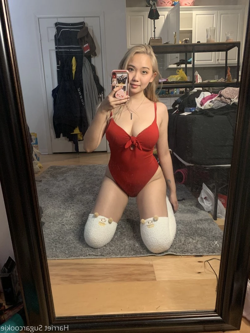 Harriet Sugarcookie [ harrietsugarcookie ] Onlyfans leaked photo 472547 on Hotleaks.tv