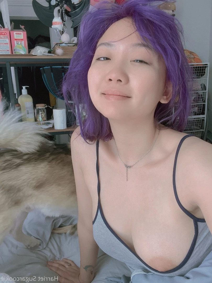 Harriet Sugarcookie [ harrietsugarcookie ] Onlyfans leaked photo 473293 on Hotleaks.tv