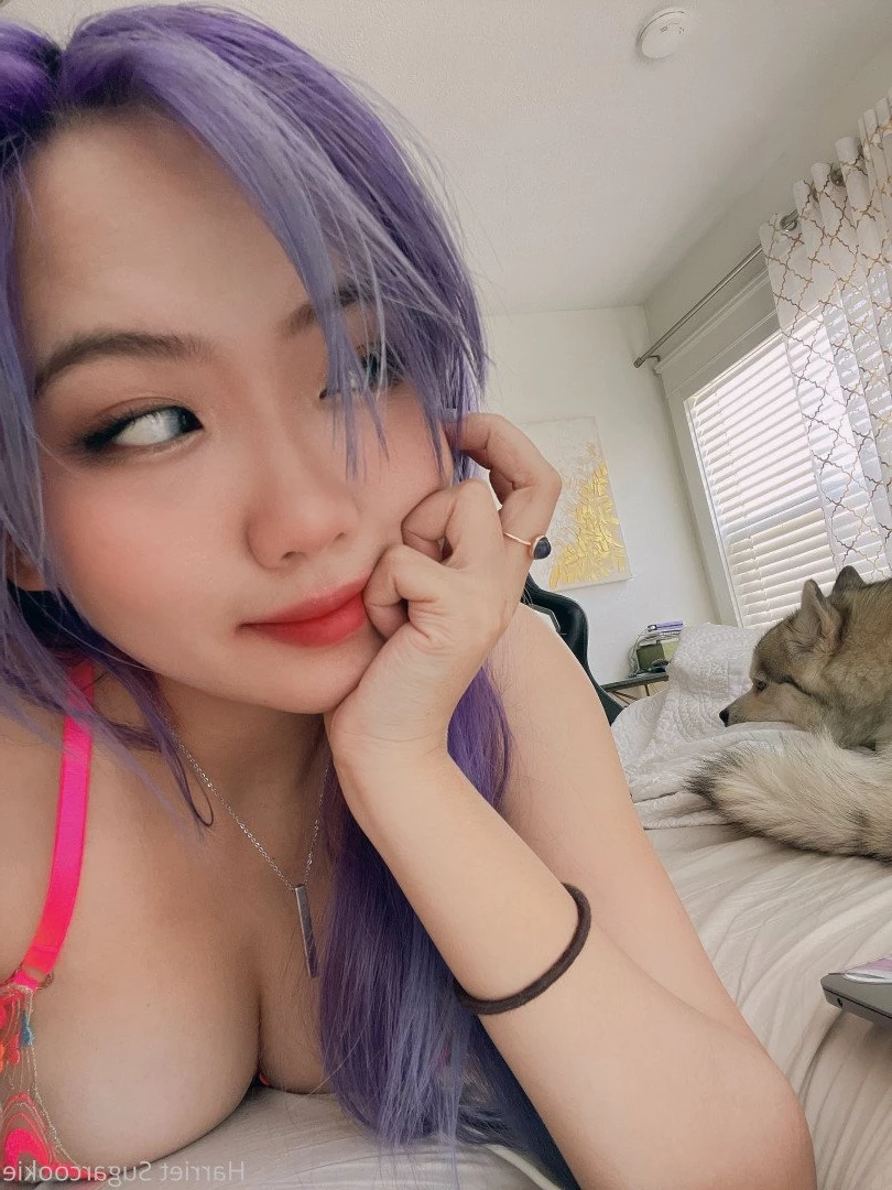 Harriet Sugarcookie [ harrietsugarcookie ] Onlyfans leaked photo 473295 on Hotleaks.tv