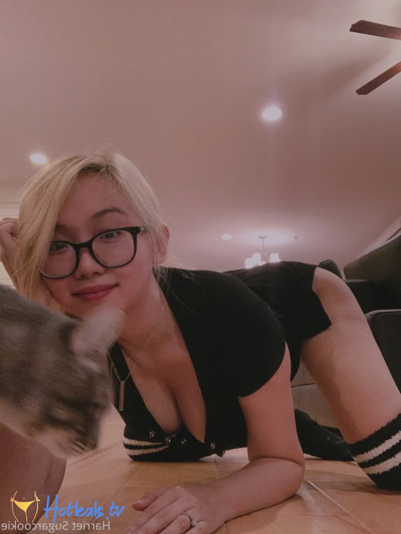 Harriet Sugarcookie [ harrietsugarcookie ] Onlyfans leaked photo 473538 on Hotleaks.tv