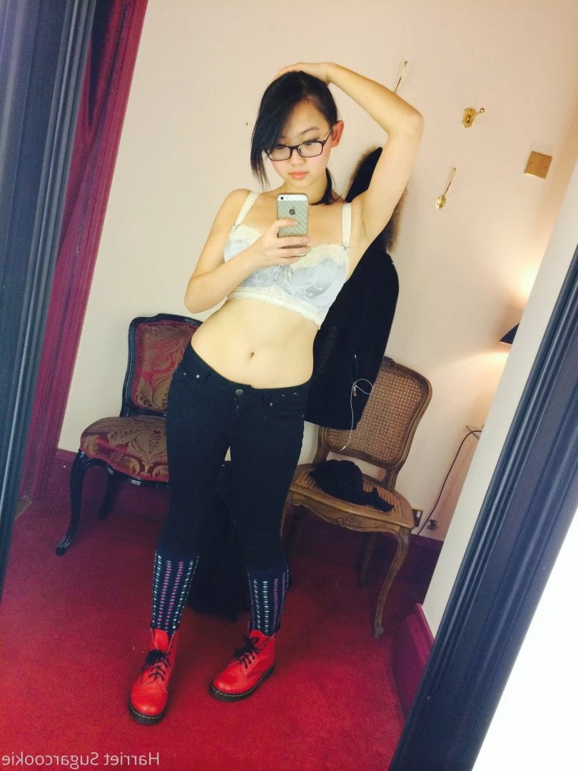 Harriet Sugarcookie [ harrietsugarcookie ] Onlyfans leaked photo 473697 on Hotleaks.tv