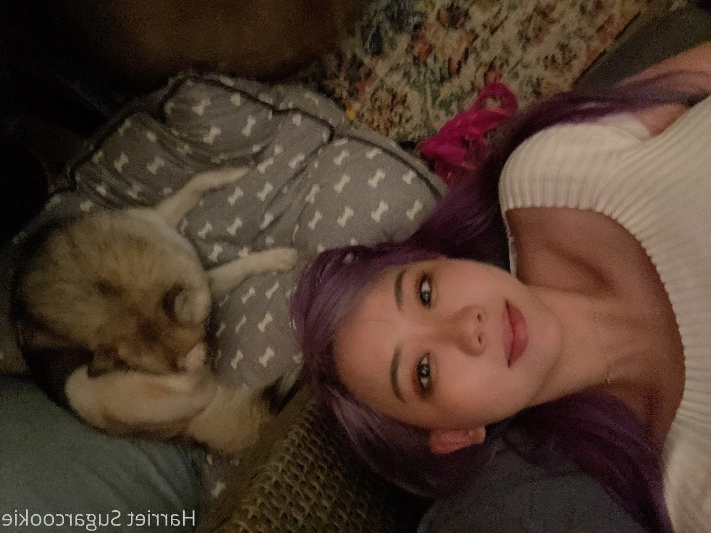 Harriet Sugarcookie [ harrietsugarcookie ] Onlyfans leaked photo 473880 on Hotleaks.tv