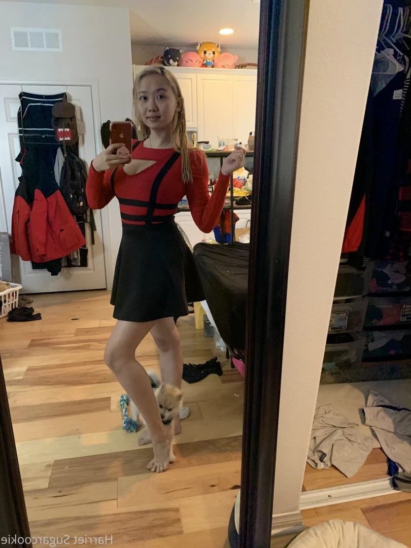 Harriet Sugarcookie [ harrietsugarcookie ] Onlyfans leaked photo 473945 on Hotleaks.tv