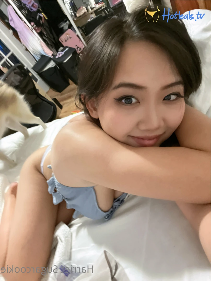 Harriet Sugarcookie [ harrietsugarcookie ] Onlyfans leaked photo 14552091 on Hotleaks.tv