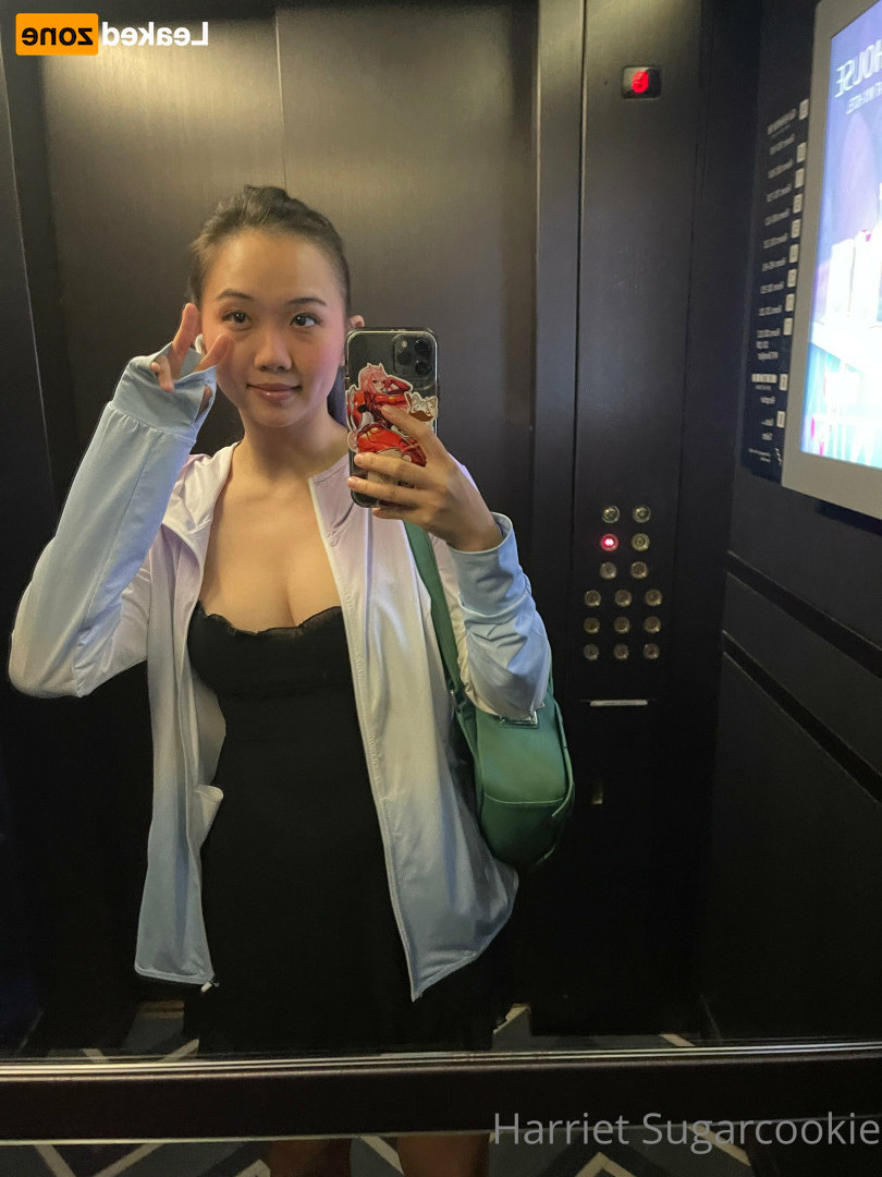 Harriet Sugarcookie [ harrietsugarcookie ] Onlyfans leaked photo 16533040 on Hotleaks.tv