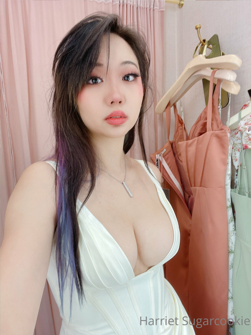 Harriet Sugarcookie 16533641