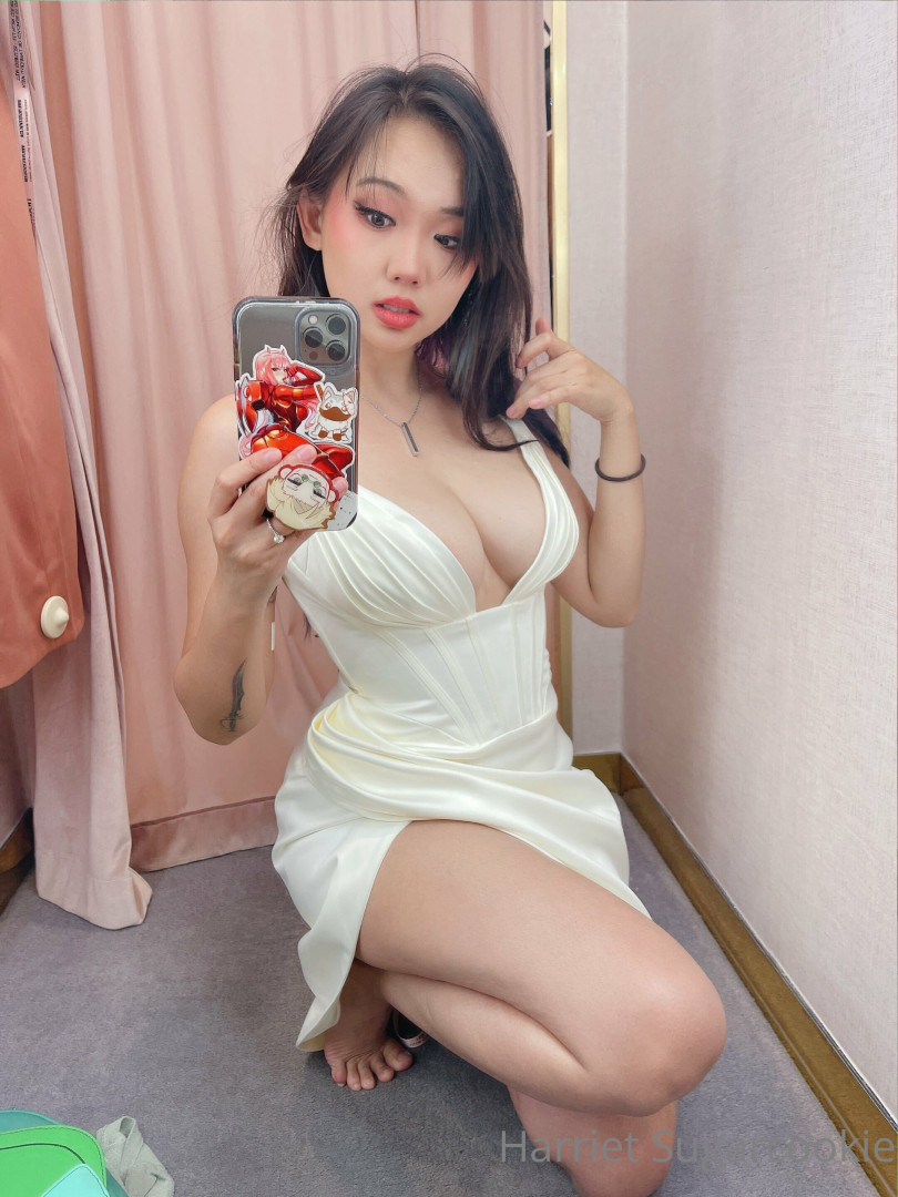 Harriet Sugarcookie 16533718