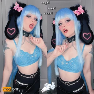 12045172