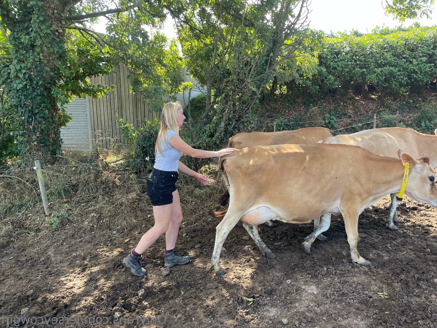 Becky Houzé 🐮 [ jerseycowgirl ] Onlyfans leaked photo 5672082 on Hotleaks.tv
