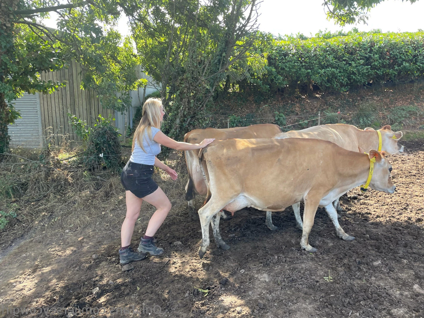 Becky Houzé 🐮 [ jerseycowgirl ] Onlyfans leaked photo 5672230 on Hotleaks.tv