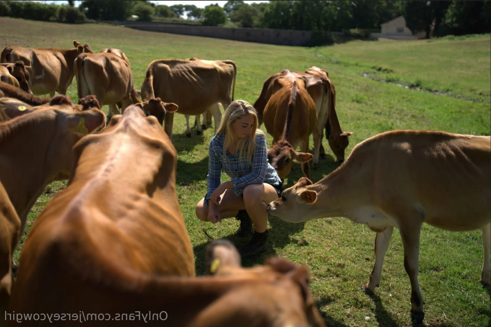 Becky Houzé 🐮 [ jerseycowgirl ] Onlyfans leaked photo 12572907 on Hotleaks.tv