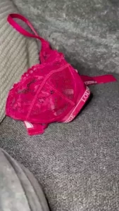 18272059
