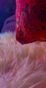 hellgirl [ hellgirrl ] Onlyfans leaked video 2522459 on Hotleaks.tv