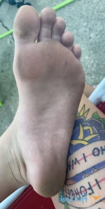 16323704