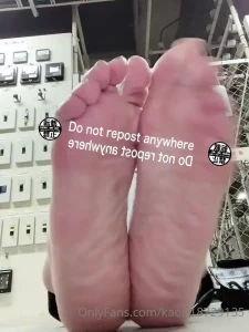 5149550