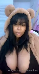 18271291