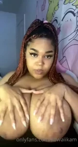 18271302