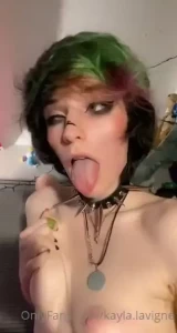 18271252