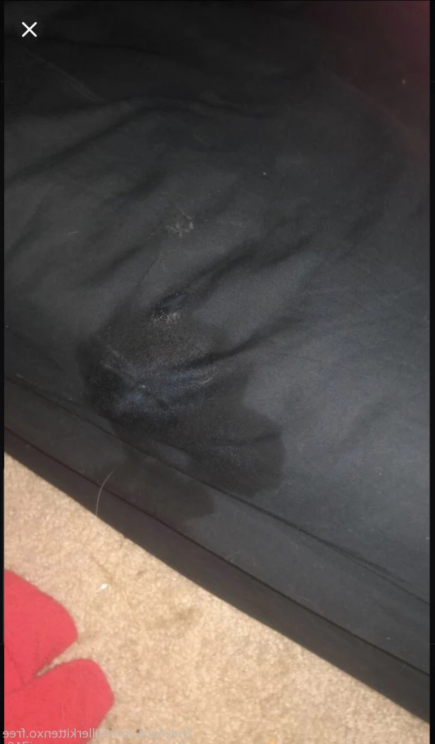 sammi 🥀 free [ killerkittenxo.free ] Onlyfans leaked photo 5532753 on Hotleaks.tv
