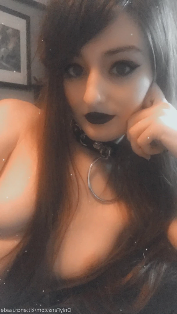 elaine arbor [ kittencrusade ] Onlyfans leaked photo 9308943 on Hotleaks.tv