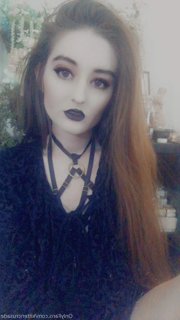 elaine arbor [ kittencrusade ] Onlyfans leaked photo 9309434 on Hotleaks.tv