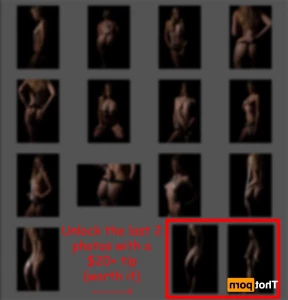 16075851