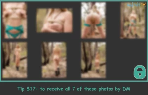 16162908