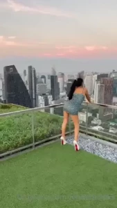 18269781