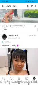 18269793