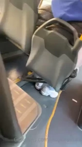 18269747