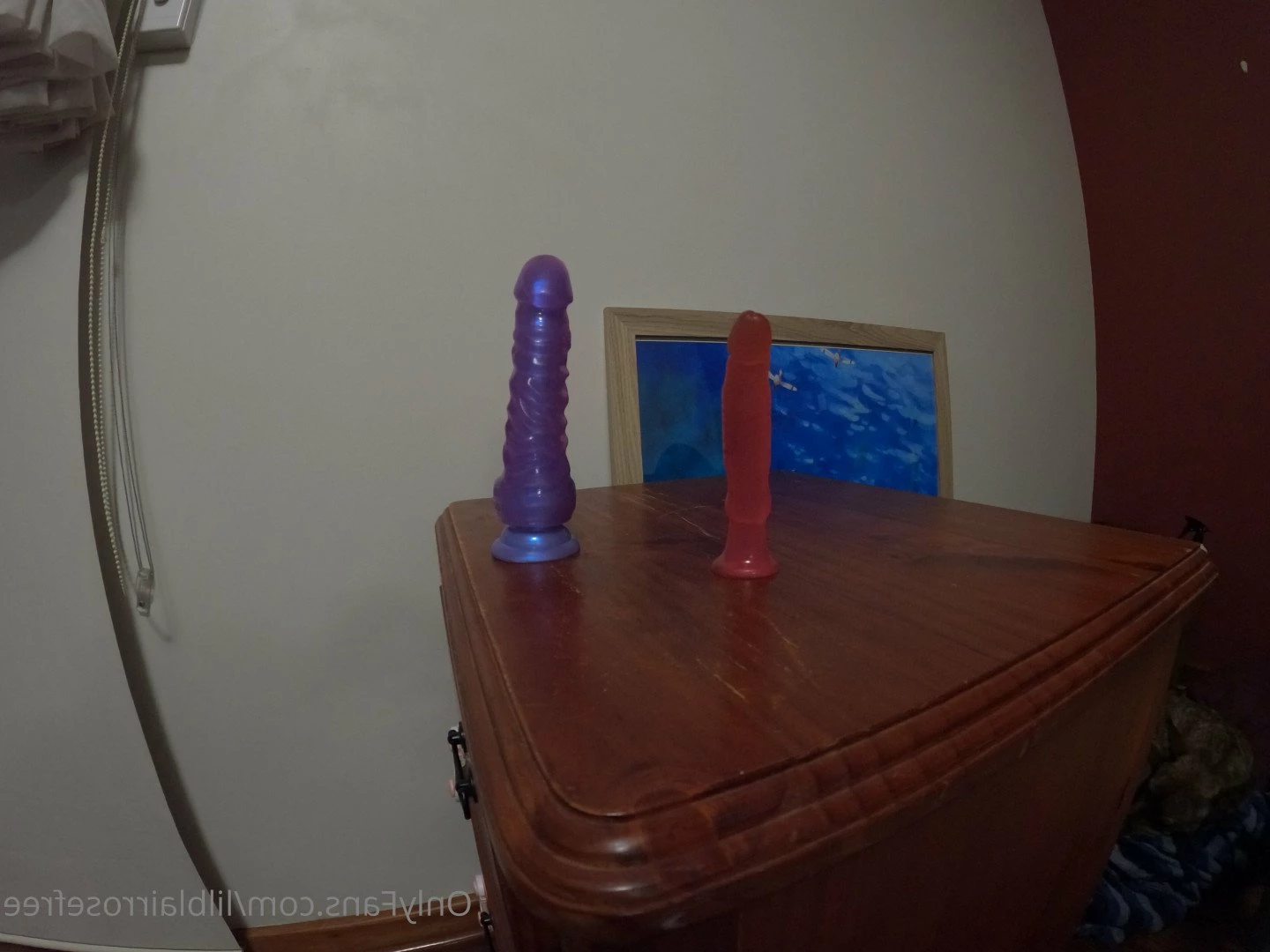 lilblairrosefree Onlyfans leaked photo 5397310 on Hotleaks.tv